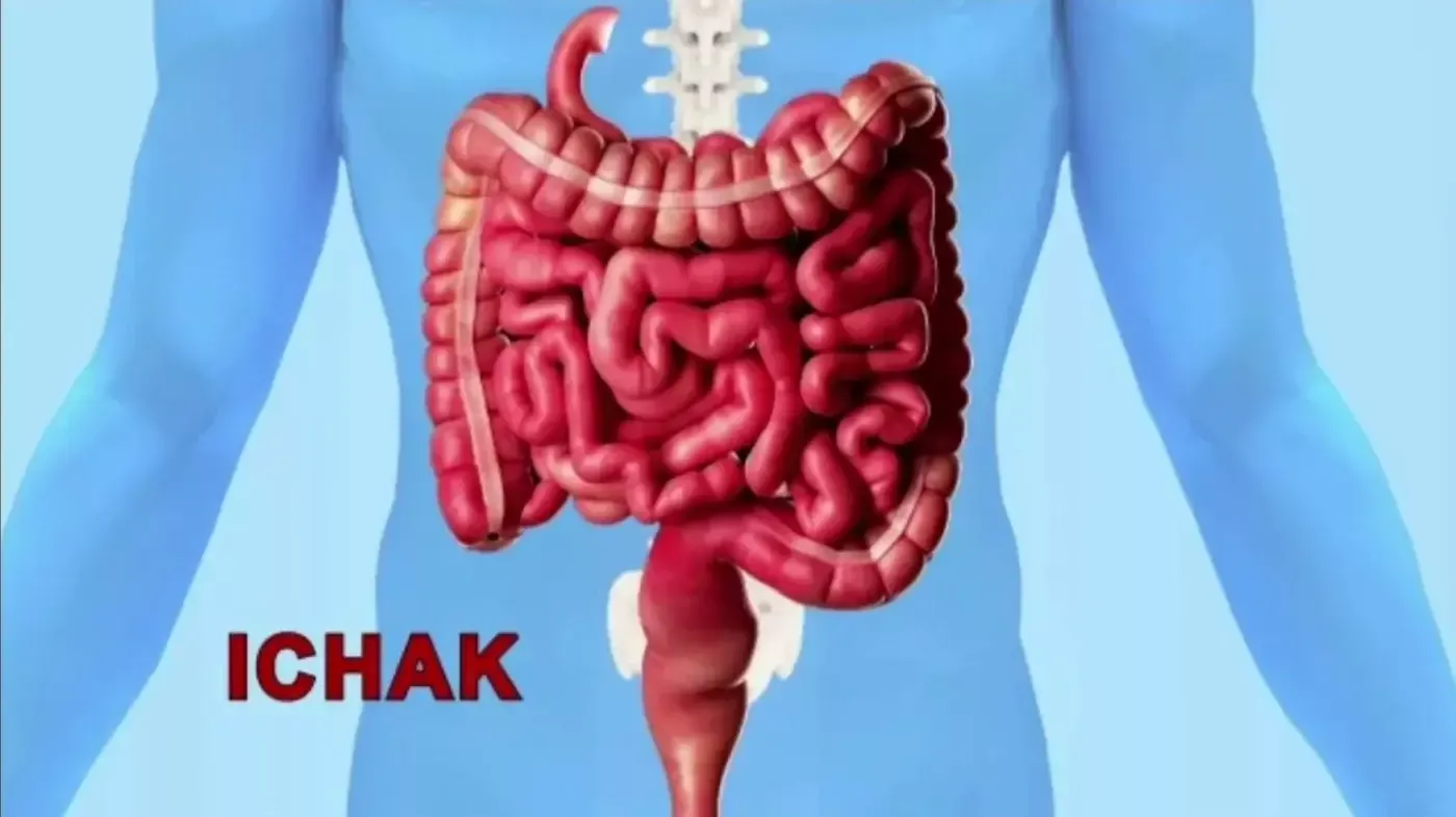 Ichak yaxshi ishlamasa, sizning kayfiyatingiz ham buziladi!
